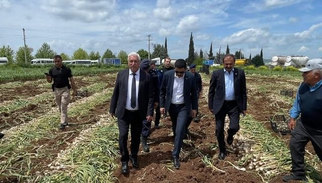 Pazarcık’ta Sarımsak Hasadı Başladı: Başkan İkizer Üreticilerle Tarlaya İndi