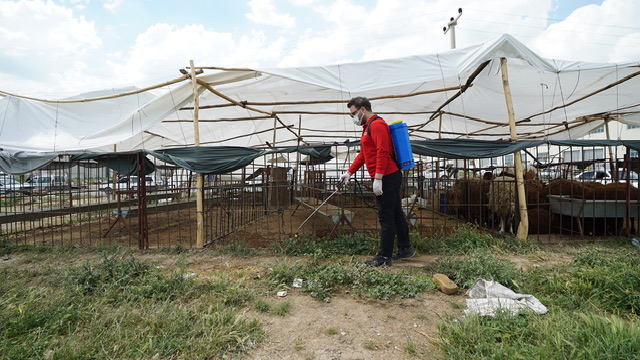 Büyükşehir’den Bayram Mesaisi; Temizlik ve İlaçlama Aralıksız Sürüyor