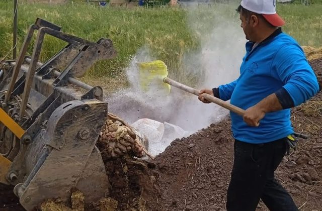 Dulkadiroğlu’nda Kurban Atık Çukurları Güvenli Şekilde Kapatıldı