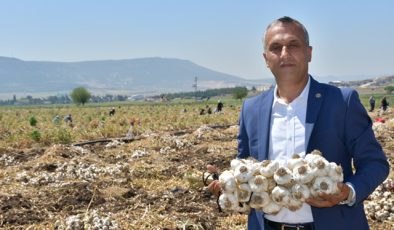 Mehmet Çetinkaya: “Sarımsakta Verim Yüksek, Üreticimizin Yüzü Gülüyor”
