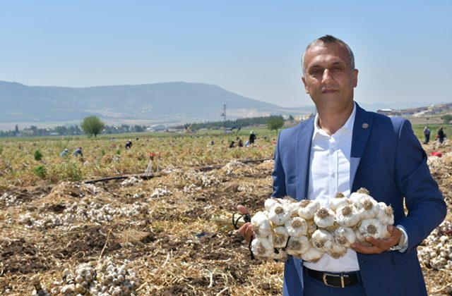 Mehmet Çetinkaya: “Sarımsakta Verim Yüksek, Üreticimizin Yüzü Gülüyor”