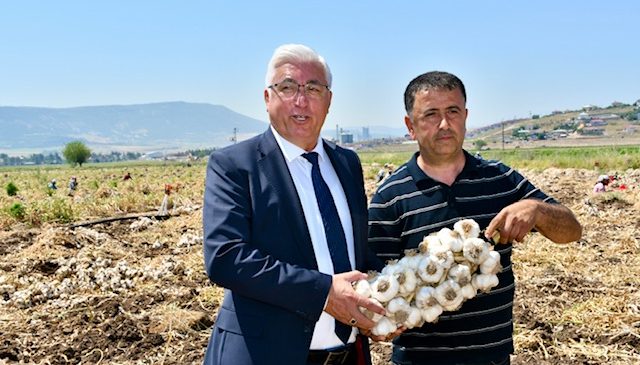 Pazarcık’ta Sarımsak Hasadı Coşkuyla Başladı