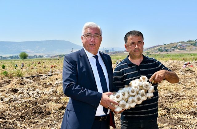 Pazarcık’ta Sarımsak Hasadı Coşkuyla Başladı