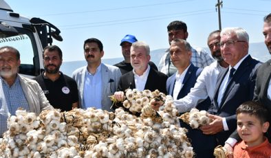 Pazarcık Sarımsağı İçin Coğrafi İşaret Süreci Başladı