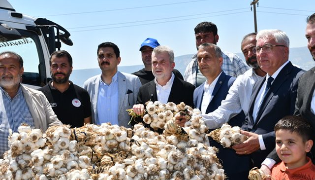 Pazarcık Sarımsağı İçin Coğrafi İşaret Süreci Başladı