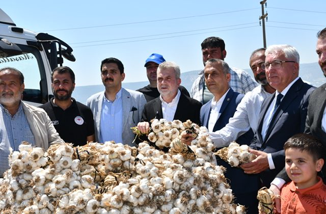 Pazarcık Sarımsağı İçin Coğrafi İşaret Süreci Başladı