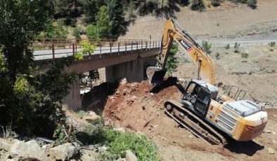 Büyükşehir’den Bertiz’in Ulaşımına Güç Katacak Yeni Bir Köprü Daha