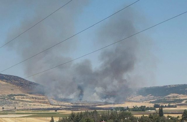 Kahramanmaraş’ta orman yangını kontrol altına alındı