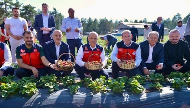 Kirişçi, Türkoğlu’nda Çilek Üreticileriyle Buluştu