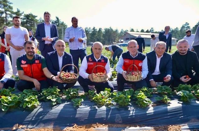 Kirişçi, Türkoğlu’nda Çilek Üreticileriyle Buluştu