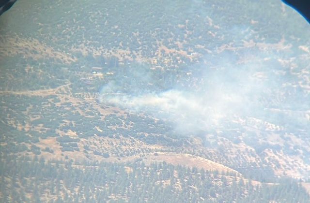 Gaziantep’de Orman Yangını Kısmen Kontrol Altına Alındı