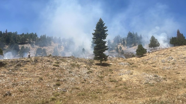 Kahramanmaraş’ta peş peşe orman yangını korkuttu
