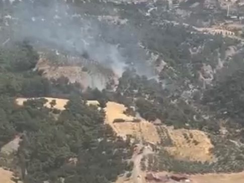Kılavuzlu Mahallesi’nde Orman Yangını Kontrol Altına Alındı