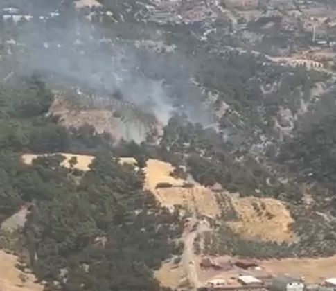 Kılavuzlu Mahallesi’nde Orman Yangını Kontrol Altına Alındı