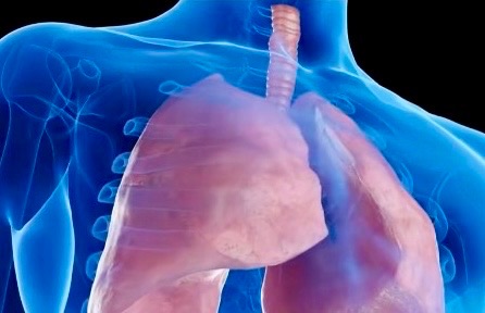 HG Hospital’de Pankreas Kanserinde Başarılı Whipple Ameliyatları