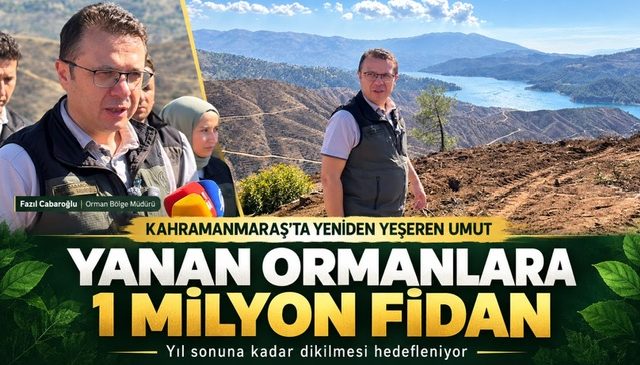 Kahramanmaraş’ta Yanan Ormanlar İçin 1 Milyon Fidan Toprakla Buluşacak